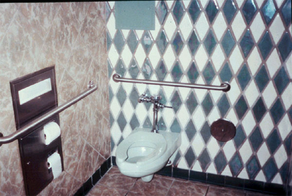 toilet stall with decorative tile