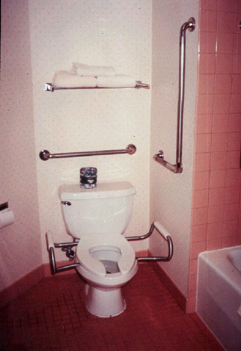 toilet stall with multiple grab bars